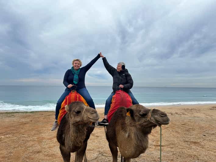 Tarifa to Tangier: Day Trip With Ferry & Camel Ride - Immerse in Moroccan Culture and Cuisine