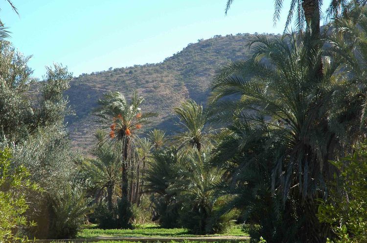 Taroudant and Tiout Oasis Trip With Lunch - Good To Know