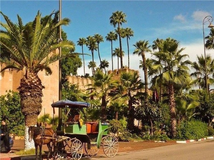 Taroudant and Tiout Oasis Trip With Lunch - Discovering the Craft Bazaar
