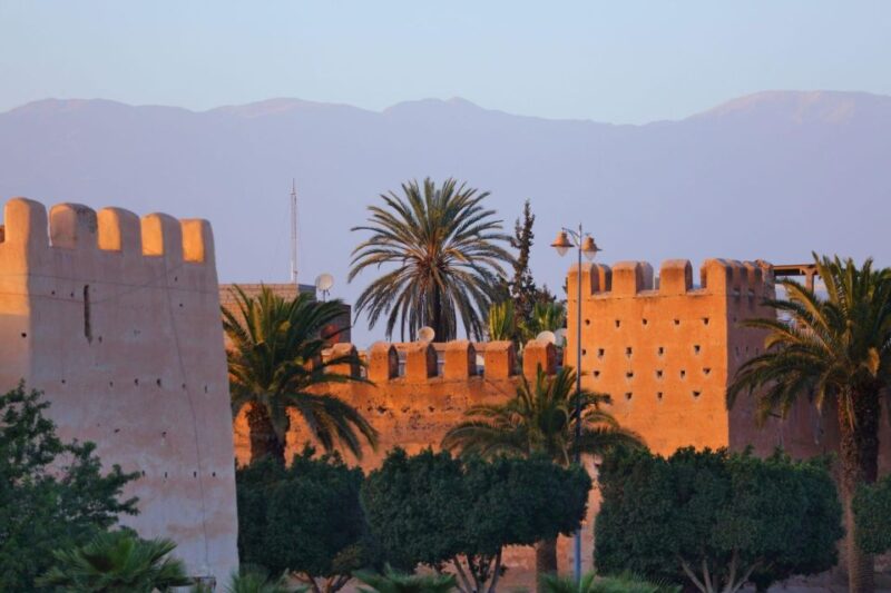 Taroudant and Tiout Oasis Trip With Lunch - Good To Know