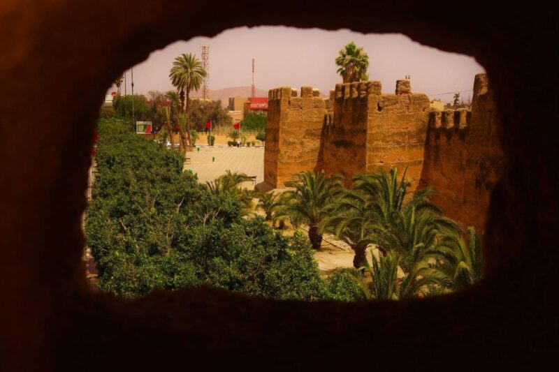 Taroudant and Tiout Oasis Trip With Lunch - High Atlas Mountain Views