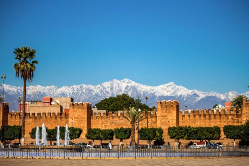 Taroudant and Tiout Oasis Trip With Lunch - Taking in Taroudants Bustling Souks