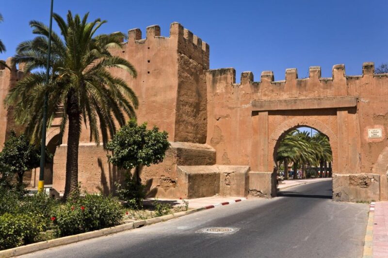 Taroudant and Tiout Oasis Trip With Lunch - Marveling at Fernandels Filming Locations