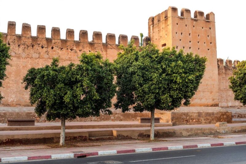 Taroudant and Tiout Oasis Trip With Lunch - Panoramic Views of the Atlas Mountains