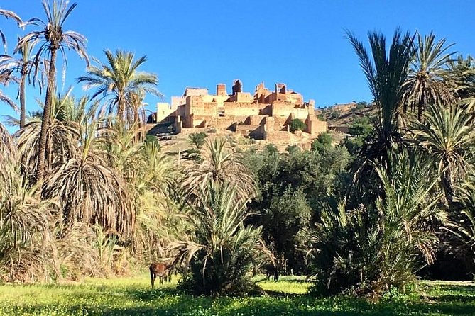 Taroudant Tiout With Meal 1 Day - Exploring Taroudant Kasbah
