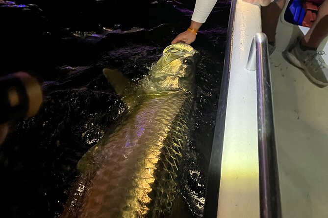 Tarpon & Snook Fishing Charter in Ft. Lauderdale - Fishing Experience Highlights