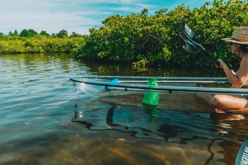 Tarpon Springs: Clear Kayak Eco-Tour with Manatee Viewing - FAQs