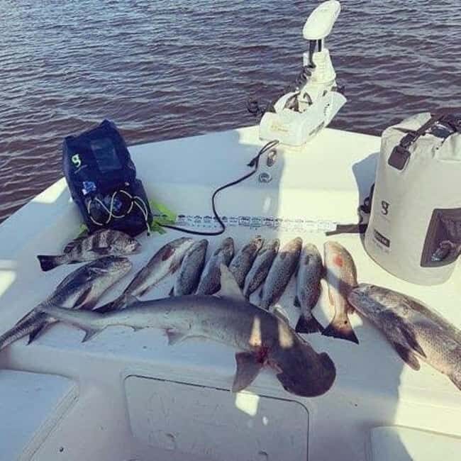 Tarpon Springs: Private Guided Gulf of Mexico Fishing Tour - What Makes This Tour Stand Out?