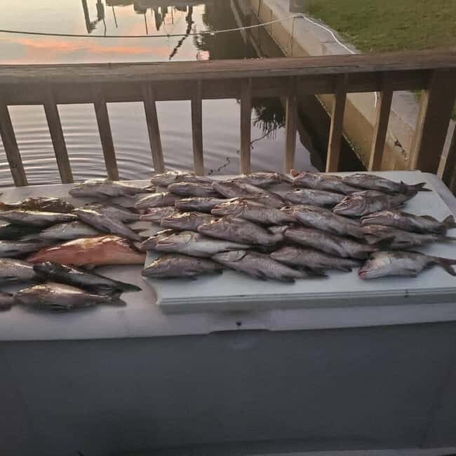 Tarpon Springs: Private Guided Gulf of Mexico Fishing Tour - The Practicalities