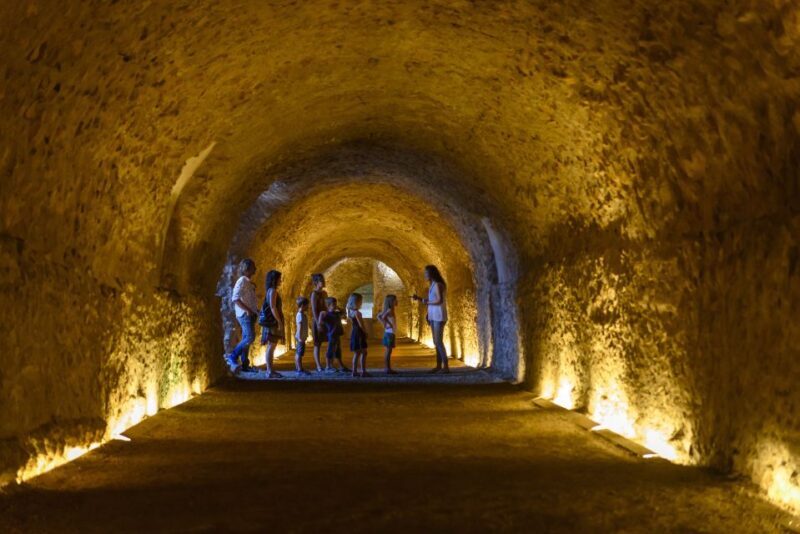 Tarragona: Roman Heritage Guided Walking Tour - FAQ