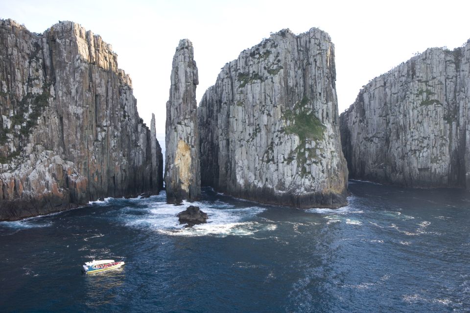 Tasman Peninsula Day Trip With Cruise & Devils From Hobart - Tour Highlights