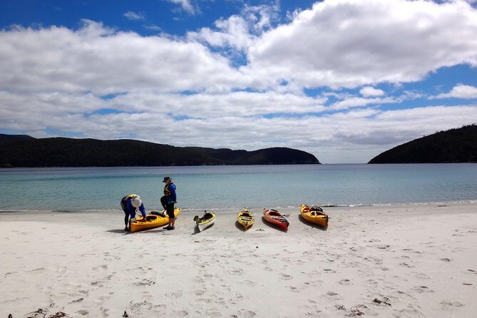 Tasman Peninsula full day kayaking tour - The Value and Practical Considerations