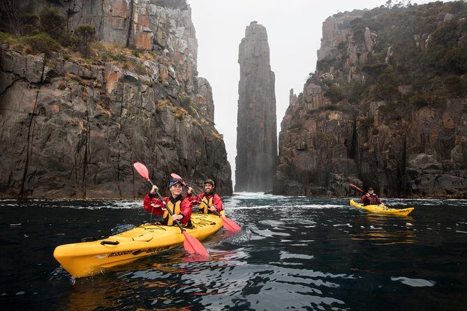 Tasman Peninsula full day kayaking tour - Who Should Book This Tour?