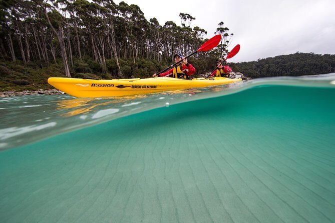 Tasman Peninsula full day kayaking tour - The Sum Up