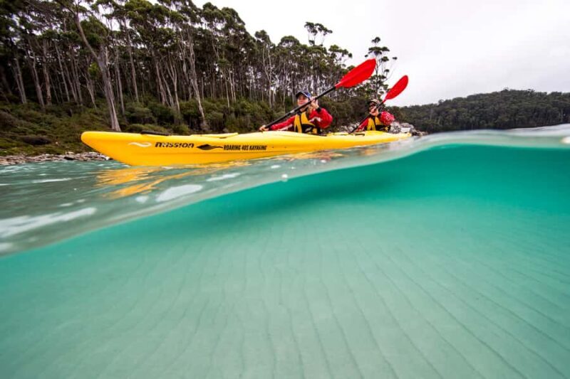 Tasman Peninsula Full-Day Sea Kayak Excursion - What Makes This Tour Stand Out?