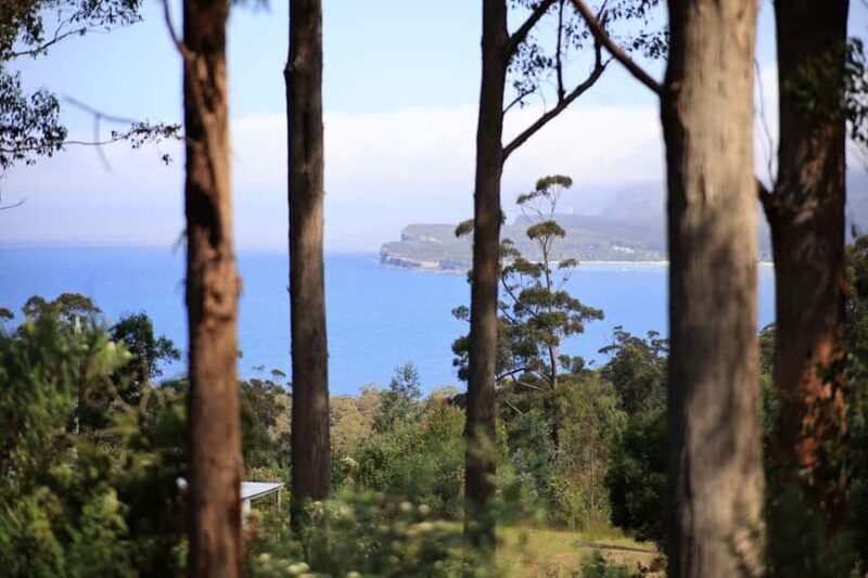 Tasman Peninsula Small-Group Guided Tour From Hobart - The Itinerary in Detail: Walking Through Tasmania’s Coastal Treasures