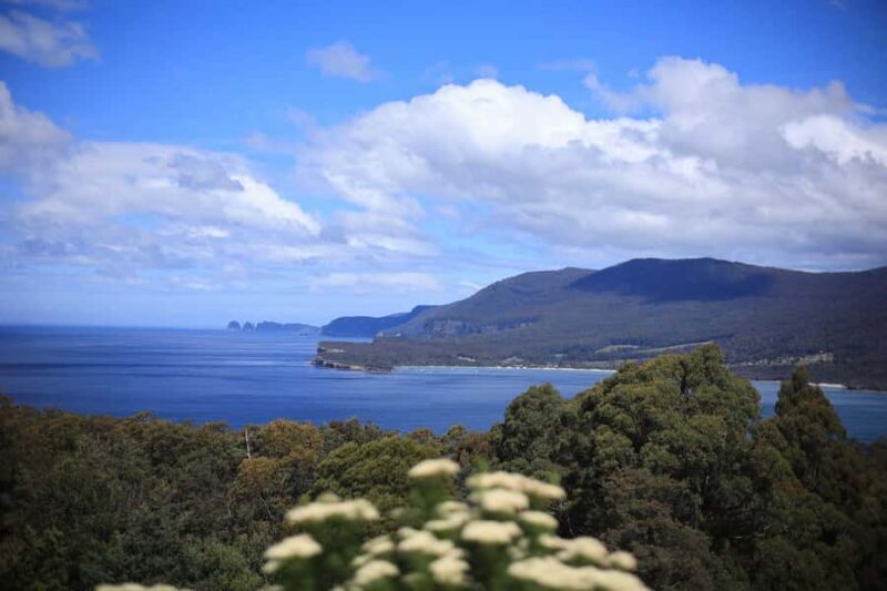 Tasman Peninsula Small-Group Guided Tour From Hobart - Practical Details and Tips for Travelers