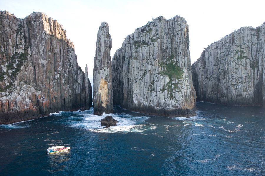 Tasman Peninsula Tour, Cruise & Port Arthur Historic Site - Customer Ratings and Reviews