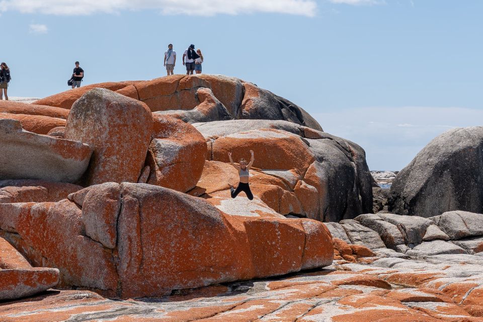 Tasmania West to East and More in 7 Super Days - Activities