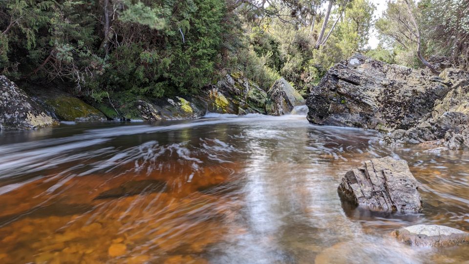 Tasmania West to East and More in 7 Super Days - Tasmanias Nature & Wildlife