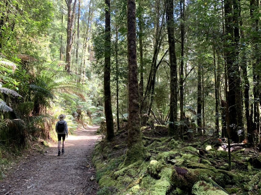 Tasmania West to East and More in 7 Super Days - Tasmanian History & Culture
