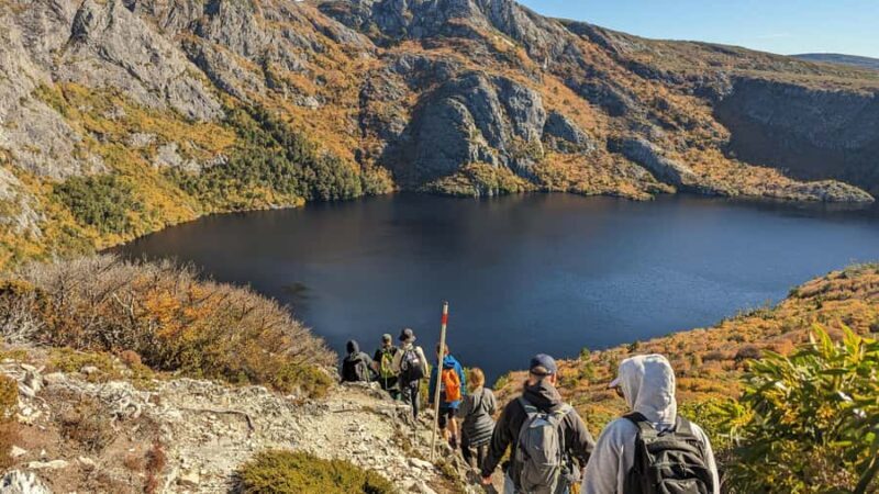 Tasmania: Wilderness and Wildlife Guided 6-Day Tour - A Deep Dive Into the 6-Day Itinerary  