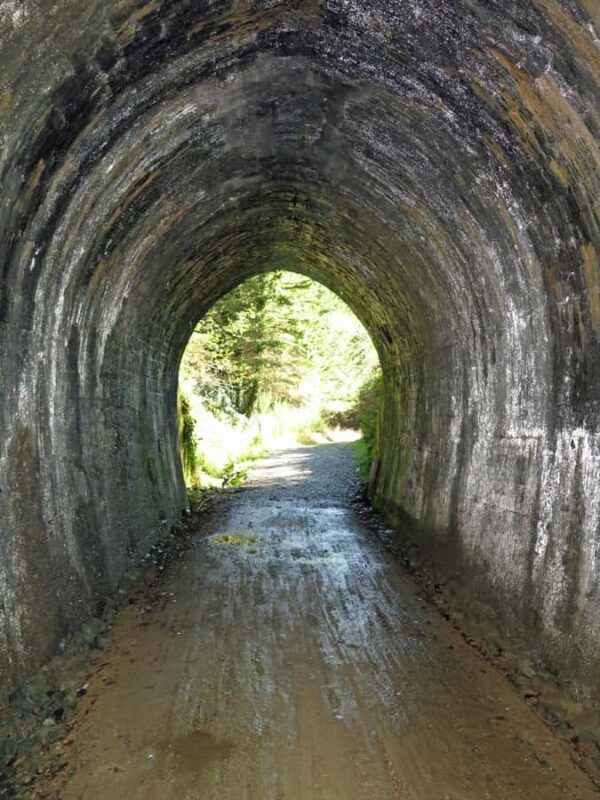 Tasman's Great Taste Trail: Spooner's Tunnel to Thunanui - The Downside? Planning and Terrain