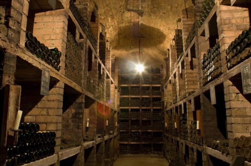 Taste and Tour Small Organic Wineries with a Winemaker - Final Thoughts: Who Will Love This Tour?