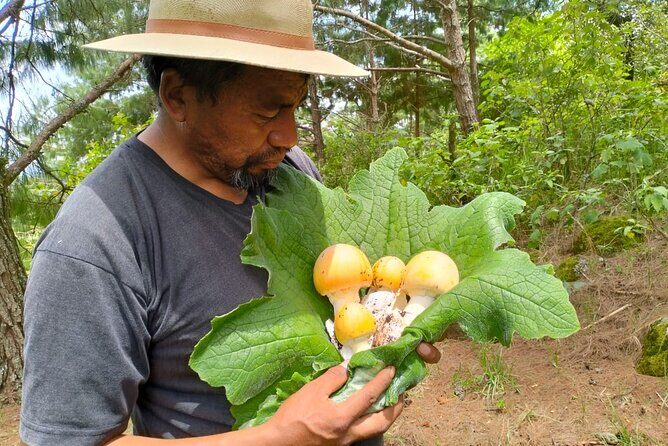 Taste and Tradition Acaxochitlán Culinary Tour from Mexico City - A Deep Dive into the Acaxochitlán Experience