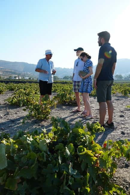 Taste & Create: Santorini Wine & Cooking Experience - A Closer Look at the Experience
