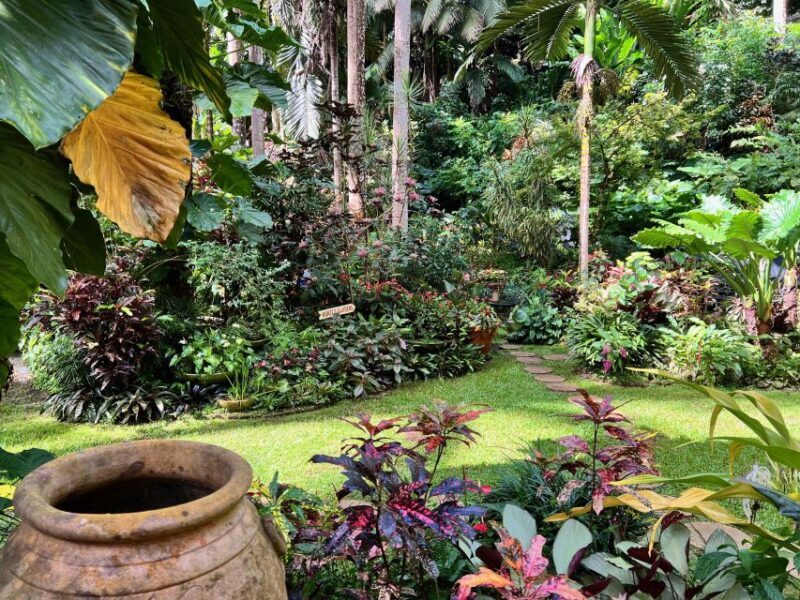 Taste of Barbados - Who Would Love This Tour?