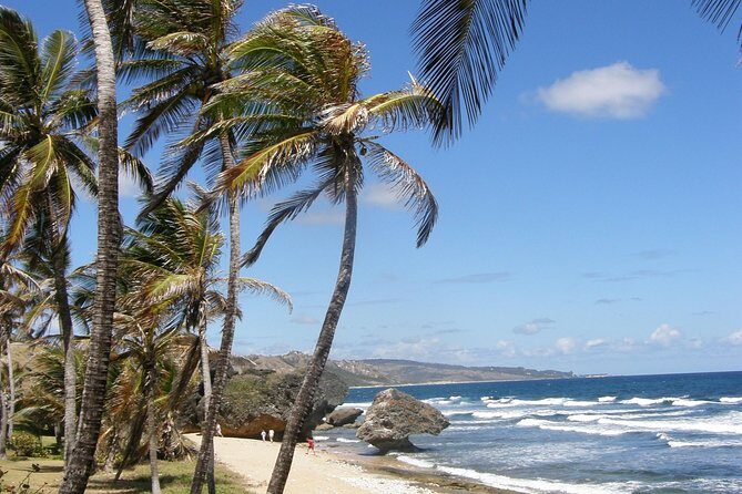 Taste of Barbados Full-Day Sightseeing tour - Key Points