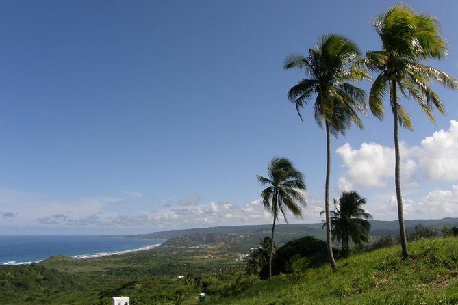 Taste of Barbados Full-Day Sightseeing tour - Final Thoughts: Who Will Love This Tour?