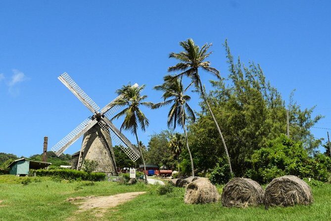 Taste of Barbados Full-Day Sightseeing tour - Frequently Asked Questions