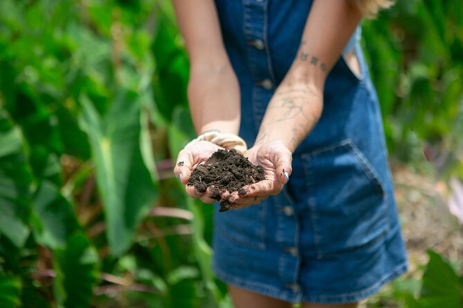 Taste of Hawaii: A Maui Farm Tour - Farm Tour Itinerary