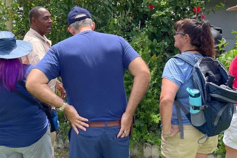 Taste of Jamaica Farm & Food Tour - What to Expect from the Tour