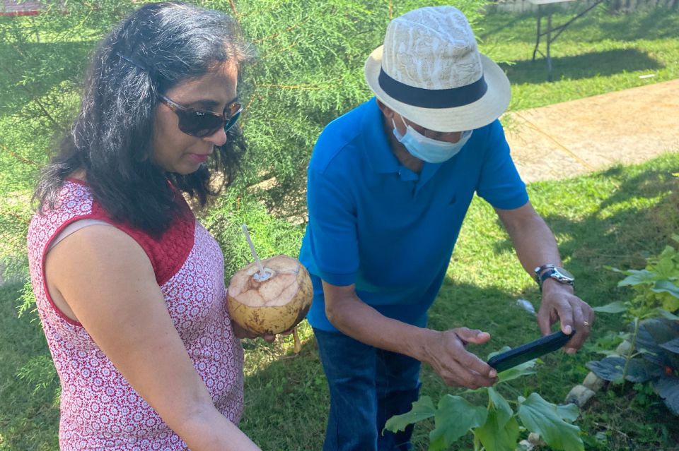 Taste of Jamaica Farm & Food Tour - Herbal Garden and Farm