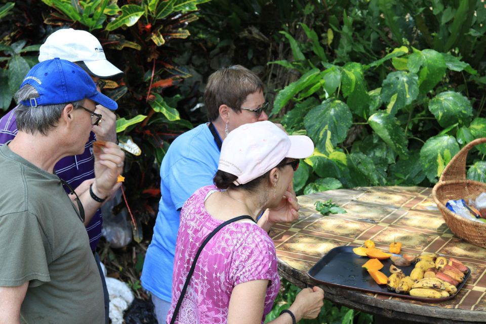 Taste of Jamaica Farm & Food Tour - Medicinal Herbs and Healing