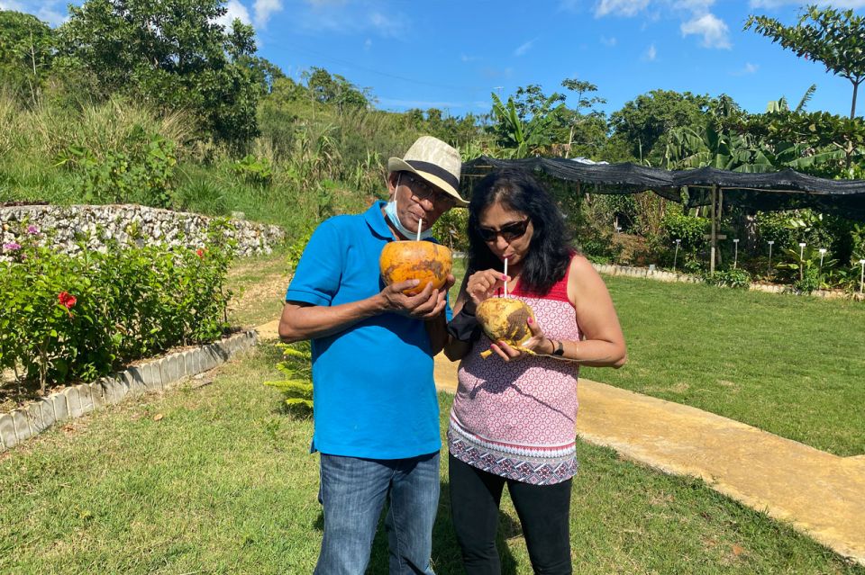 Taste of Jamaica Farm & Food Tour - Inclusions and Amenities
