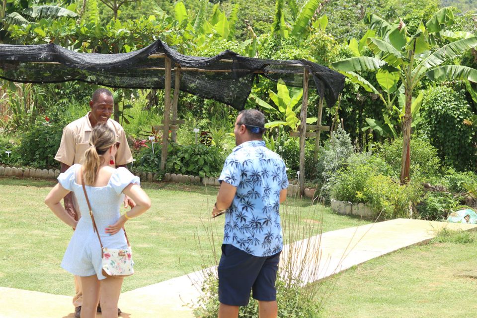 Taste of Jamaica Farm & Food Tour - Getting to the Tour