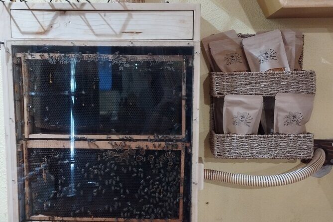 Taste of Korcula Tour (local produce tasting) - The Experience from Real Travelers