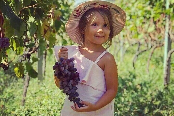 TASTE OF MONTENEGRO - Gastro Tour of Montenegrian Wine and food - Authenticity & Review Highlights