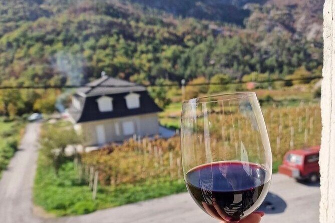 TASTE OF MONTENEGRO - Gastro Tour of Montenegrian Wine and food - Who Should Consider This Tour?