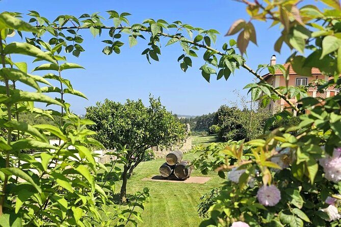 Taste of Sintras Wonders Wine & Tapas Tasting Private Tour - The Sum Up