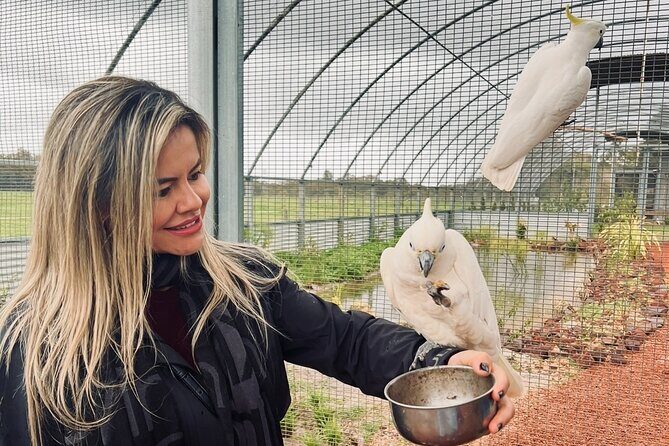 TASTE OF THE WHEATBELT private day tour to New Norcia and beyond. - An In-Depth Look at the Tour Experience