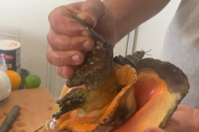 Taste Tour and Capture Nassau Island Experience with Photos - Key Points: