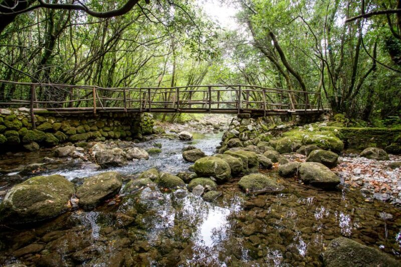 Taste & Tradition of Dubrovnik Countryside - Taste & Tradition of Dubrovnik Countryside: An Authentic Experience