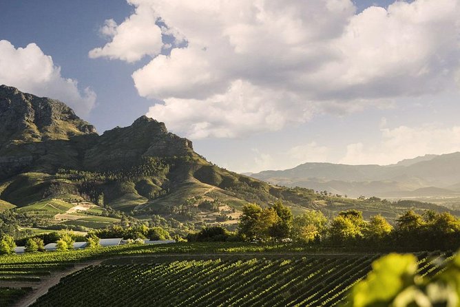 Taste + Tram the Winelands Tour: Franschhoek, Stellenbosch, Paarl - Scenic Tram Ride