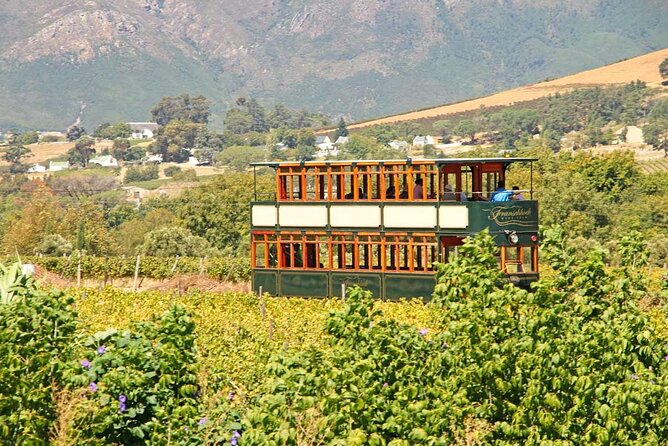 Taste + Tram the Winelands Tour: Franschhoek, Stellenbosch, Paarl - Tour Logistics and Details