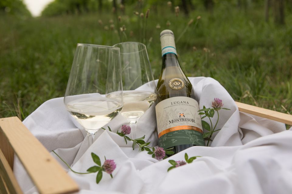 Taste With Us Bardolino, Chiaretto and Lugana Near Verona - Wines Featured in the Tasting